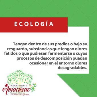6 ecología